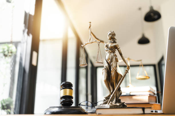 Civil vs. Criminal Case Classification
